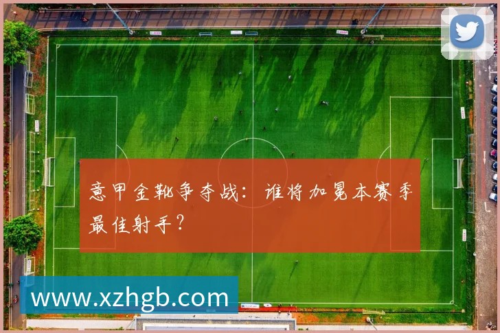 意甲金靴争夺战:谁将加冕本赛季最佳射手?