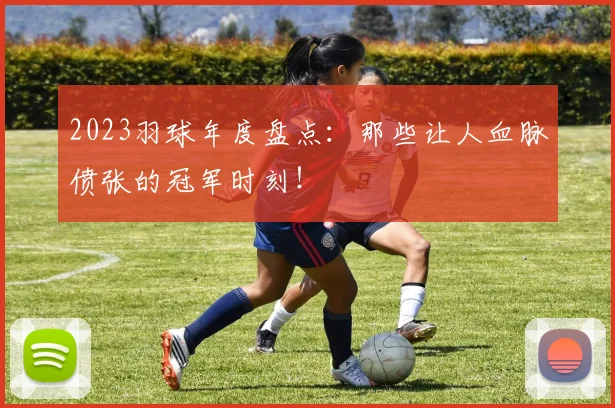 2023羽球年度盘点:那些让人血脉偾张的冠军时刻!